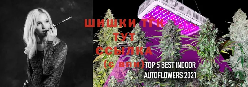 hydra tor  где можно купить   Светлоград  Шишки марихуана OG Kush 